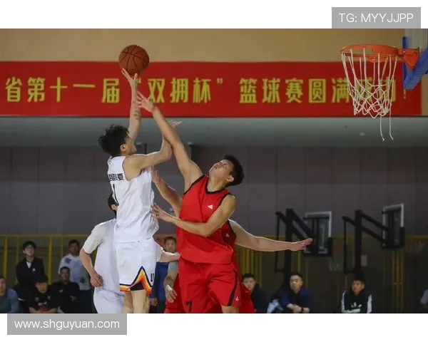 杭州篮球队荣登全国篮球技术排行榜第十名展现实力与潜力