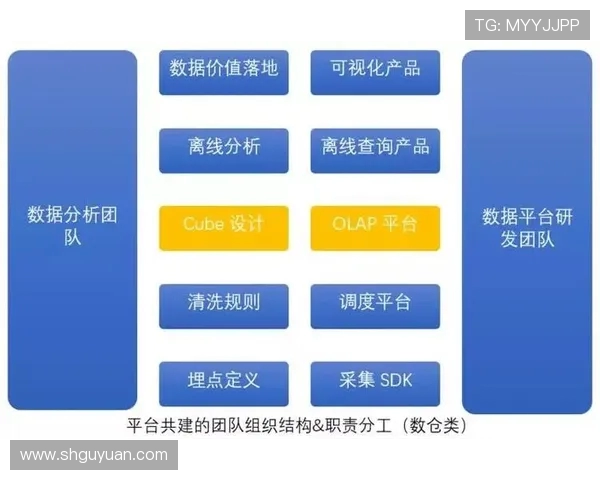 深入分析成都排球队反击战术的独特魅力与实战应用